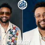 Shaggy